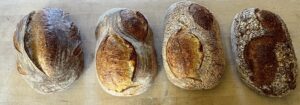 Sunnyfield bread