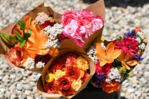 Mixed Roots Botanicals Flowers