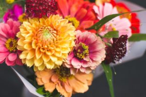 Mixed Roots Botanicals Flowers