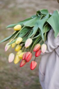 Mixed Roots Botanicals Flowers