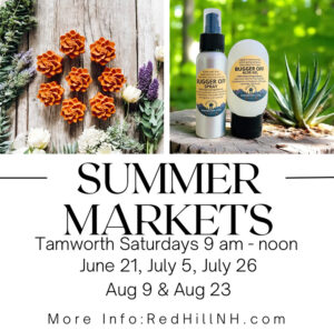Red Hill Summer Markets graphic