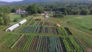 Waxing Moon Gardens Drone photo