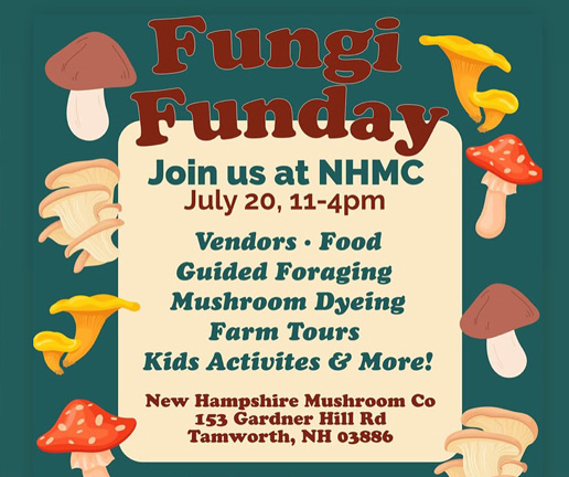 Fungi Funday Poster