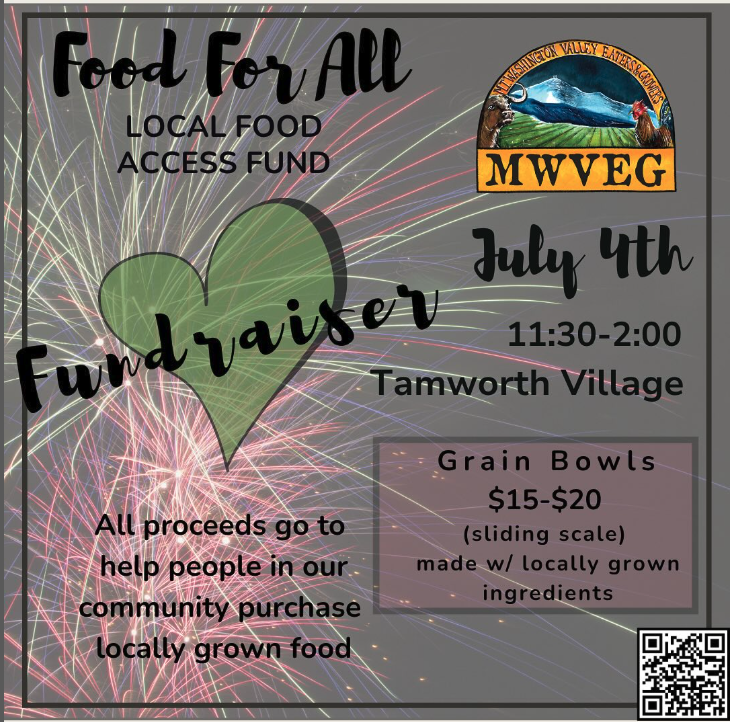 MVEG 4th July Fundraiser flyer