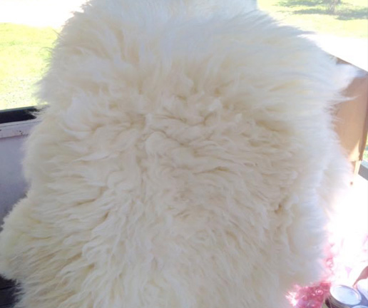White pelt